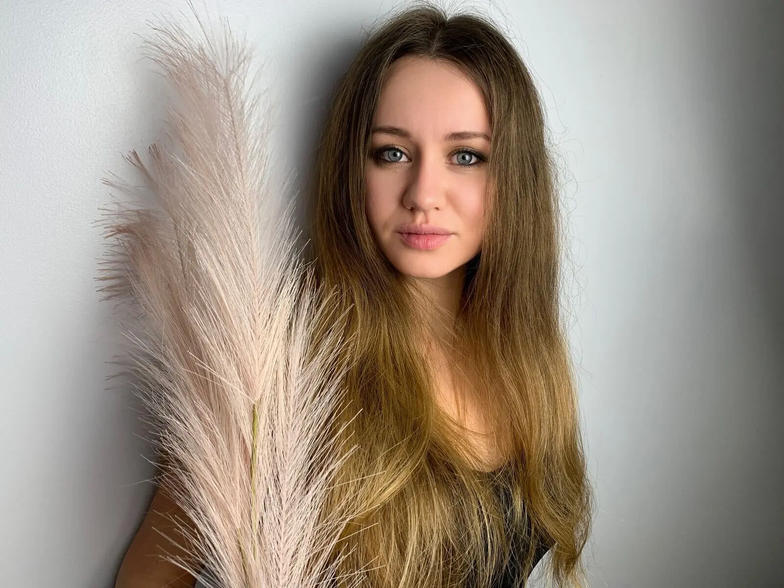 View more of AlibedWilson